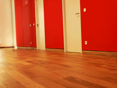 Holzboden in einem Raum mit roten Wänden und geschlossenen Türen.
